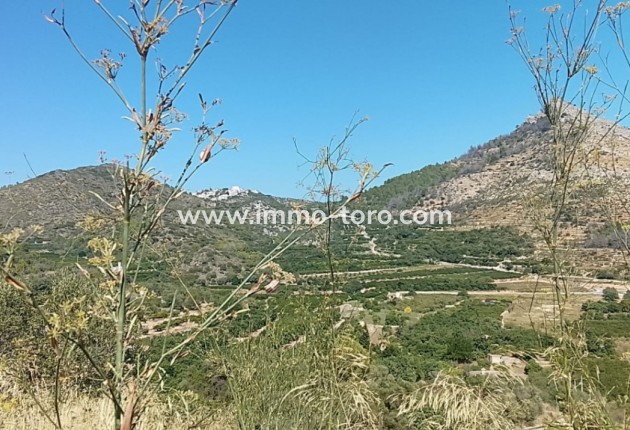 Herverkoop - Bouwgrond - Ràfol d'Almúnia