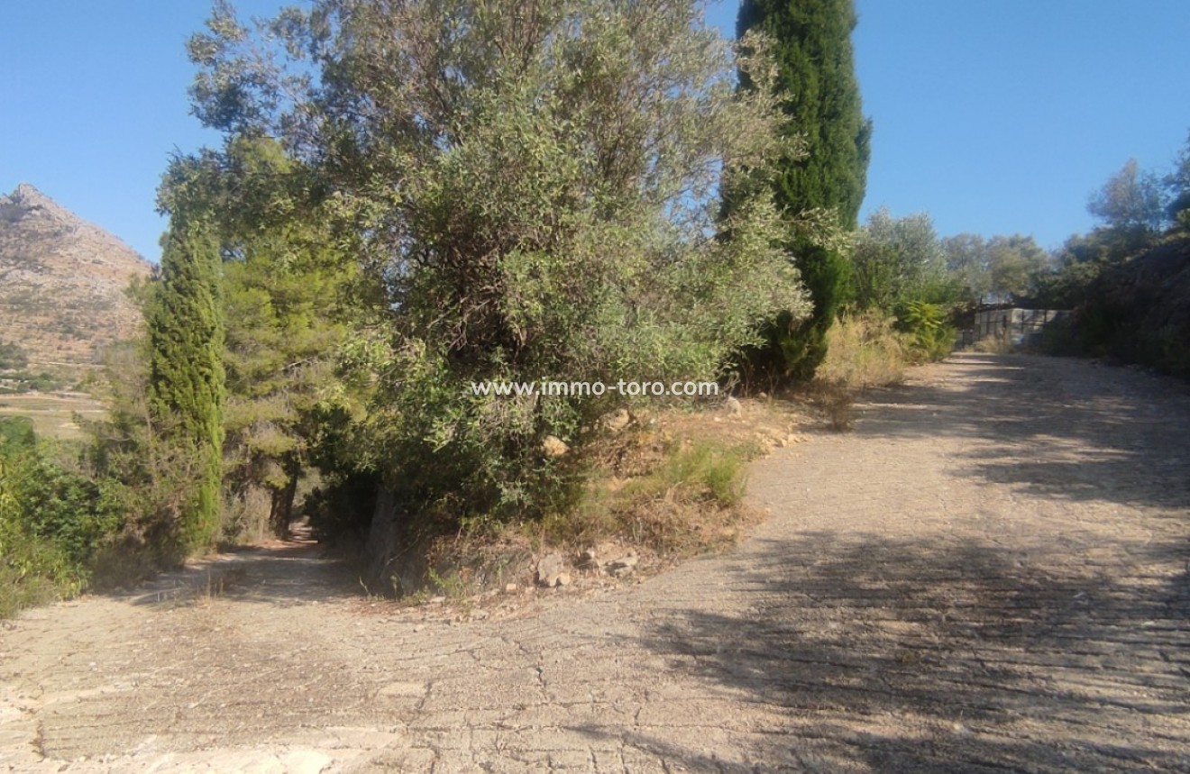 Herverkoop - Bouwgrond - Ràfol d'Almúnia