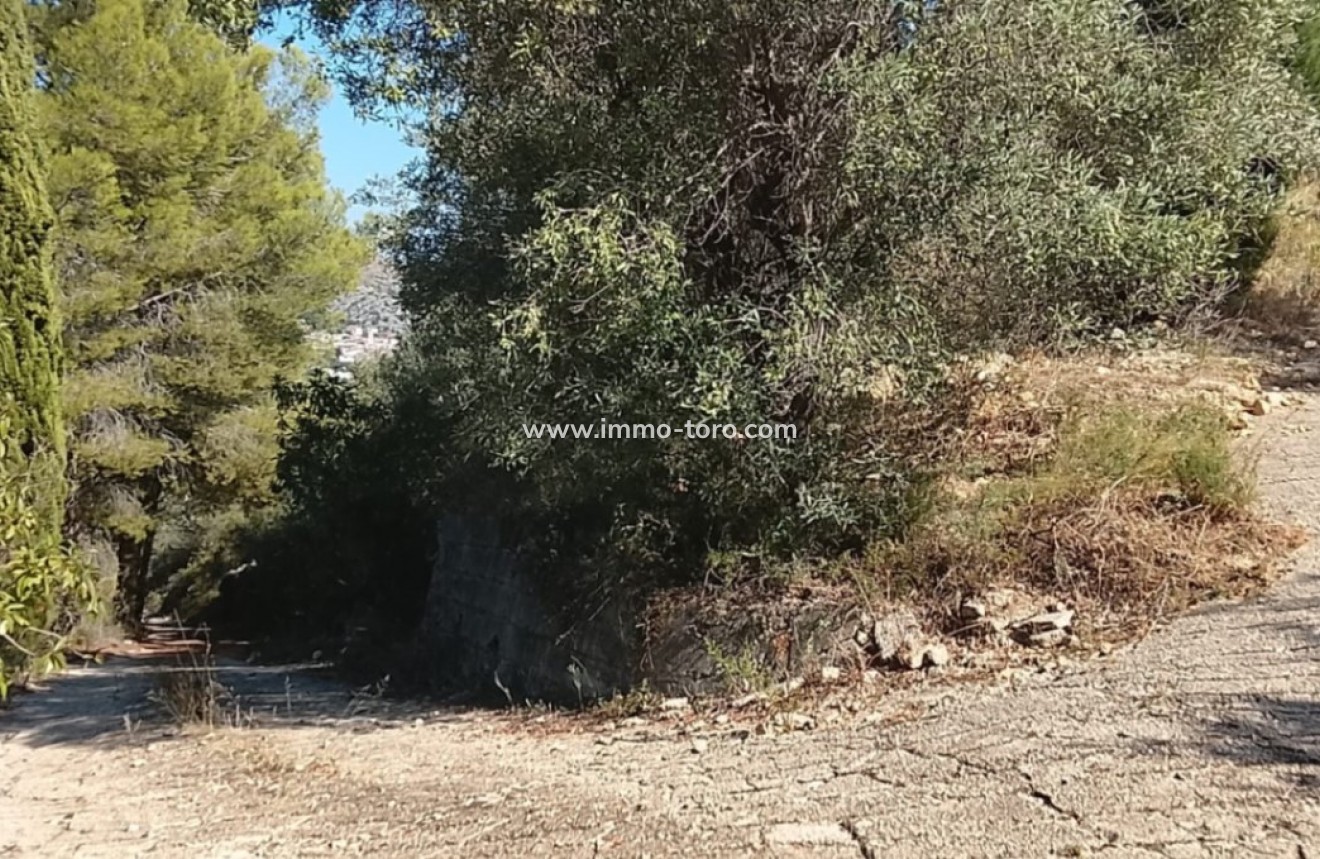 Herverkoop - Bouwgrond - Ràfol d'Almúnia