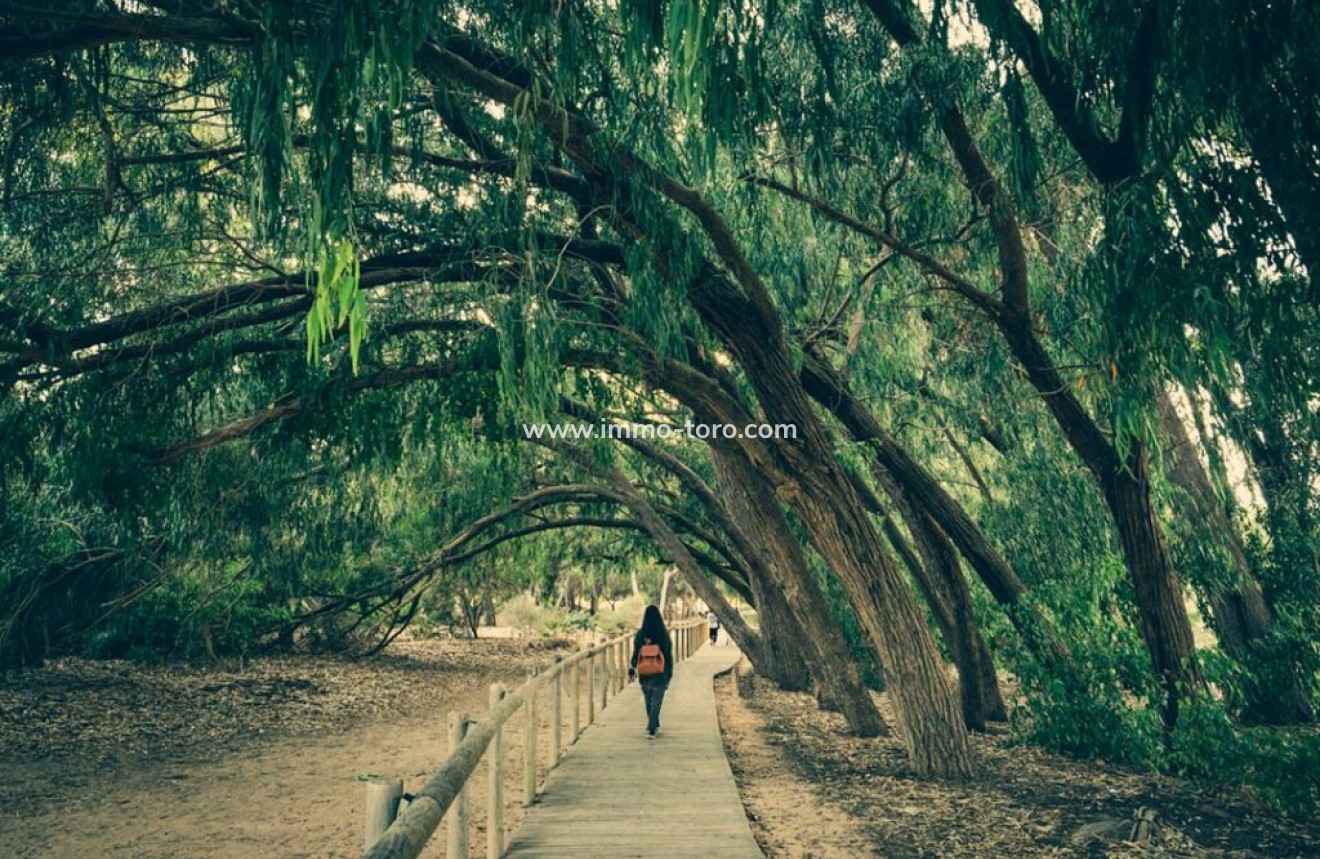 Nueva construcción  - Villa / Chalet - Los Montesinos