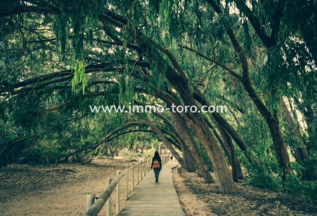 Nueva construcción  - Villa / Chalet - Los Montesinos