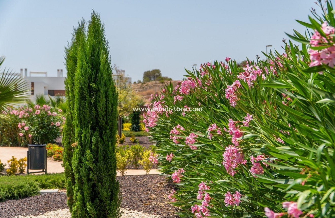 Nouvelle construction -  - Orihuela - Vistabella Golf