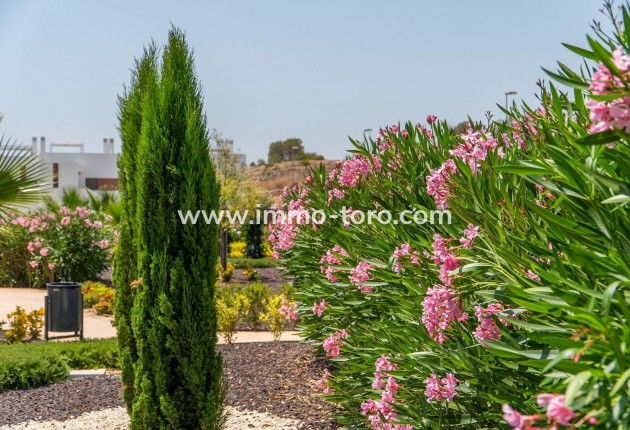 Nouvelle construction -  - Orihuela - Vistabella Golf