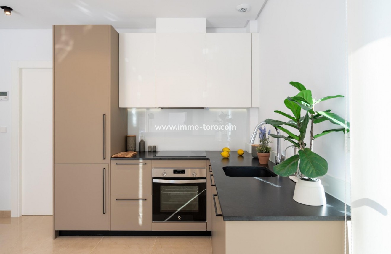 New Build - Villa - La Marina - El pinet