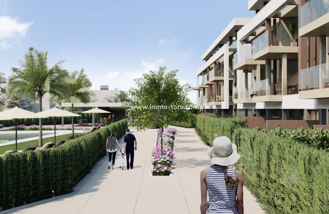 Nouvelle construction - Penthouse - Torre Pacheco - Torre-Pacheco