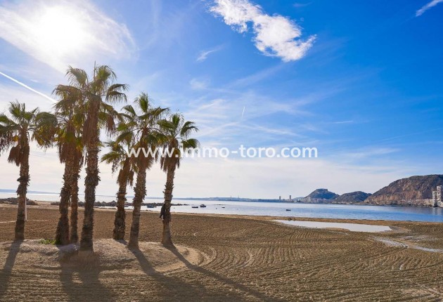 New Build - Villa - Els Poblets - Partida Barranquets