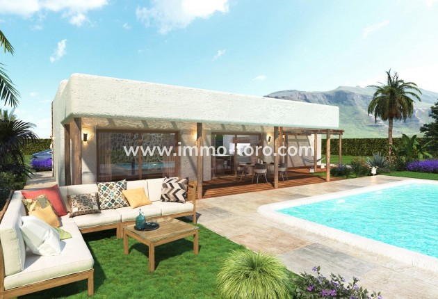 Nouvelle construction - Villa - Pinoso - Rodriguillo