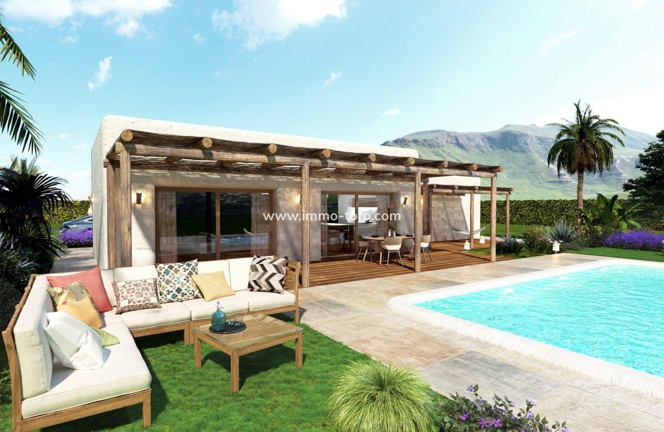 New Build - Villa - Pinoso - Rodriguillo