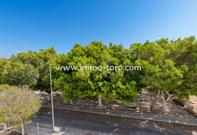 Nueva construcción  - Villa / Chalet - Pilar de la Horadada