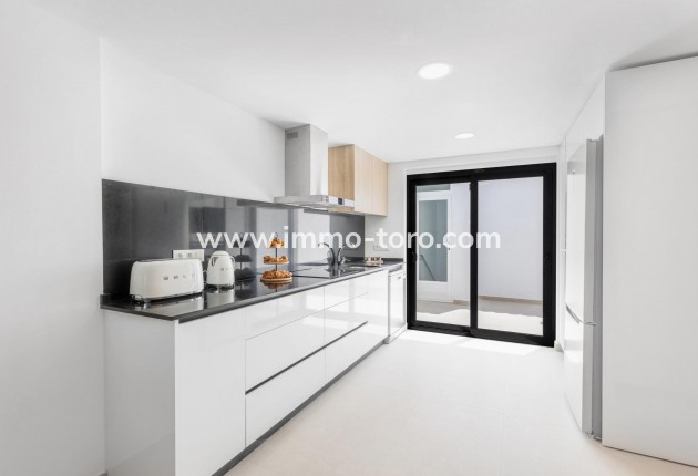 New Build - Detached house / Townhouse - Rafal - pueblo