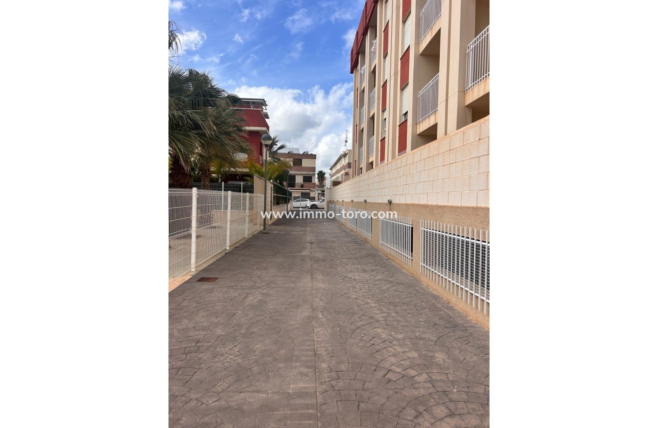 Nouvelle construction -  - Orihuela