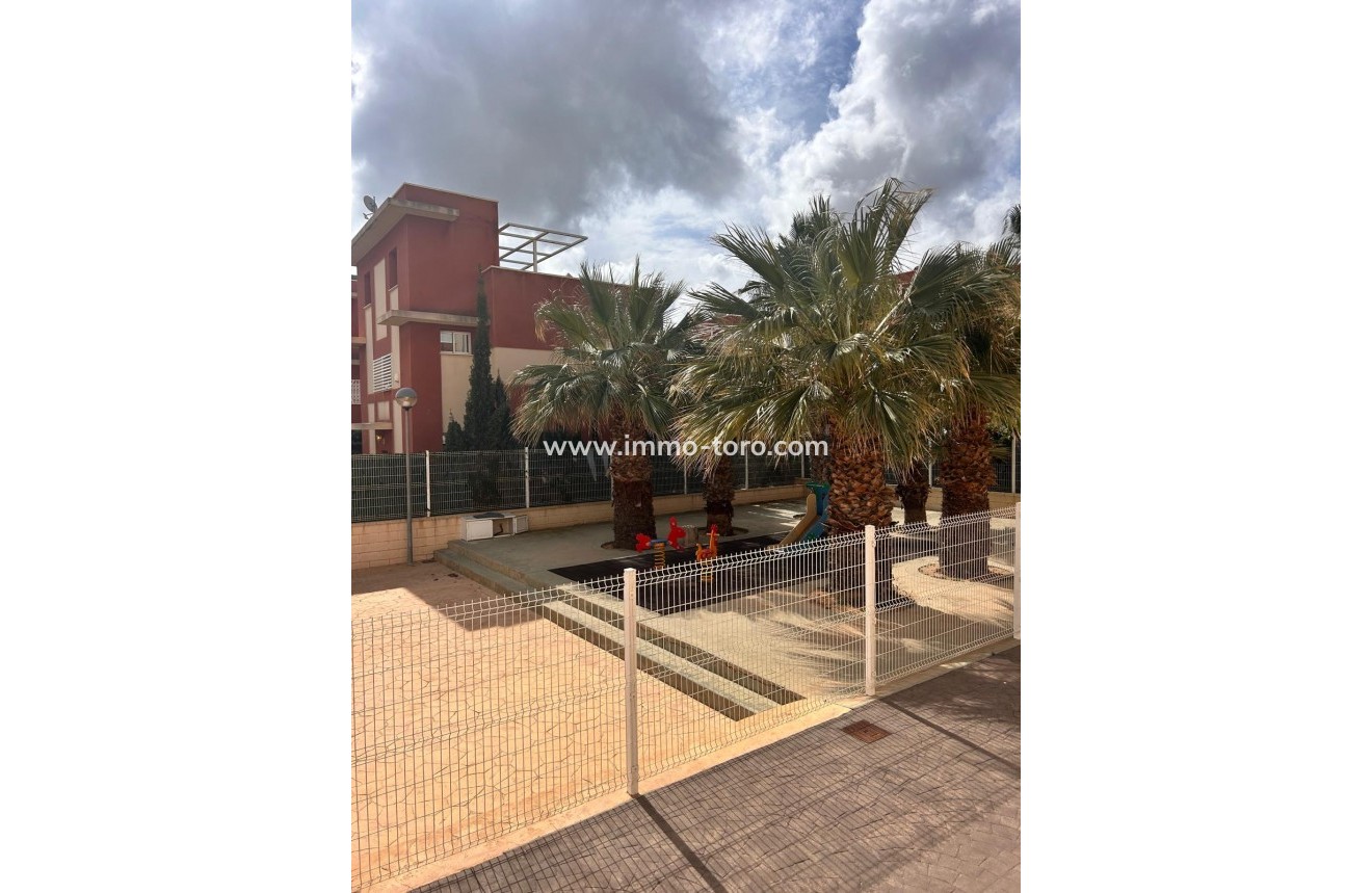 Nouvelle construction -  - Orihuela