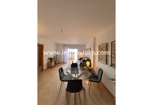 Nouvelle construction -  - Orihuela