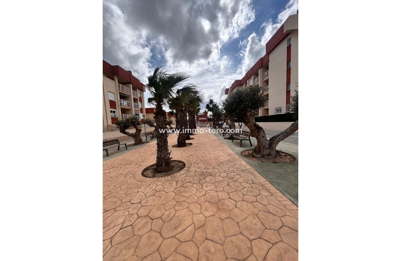 Nieuwbouw - Appartement  - Orihuela