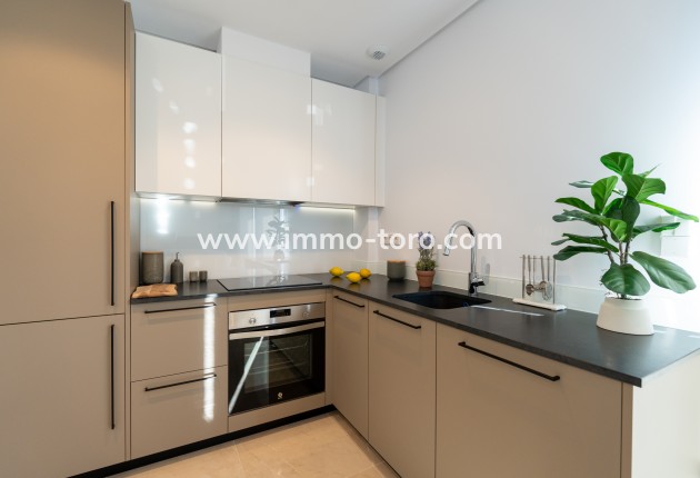 Nueva construcción  - Villa / Chalet - Elche