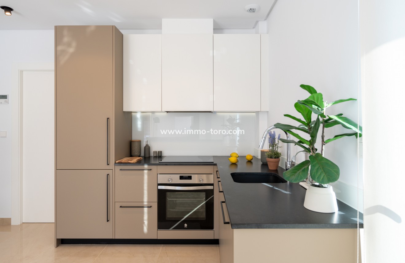 Nueva construcción  - Villa / Chalet - Elche