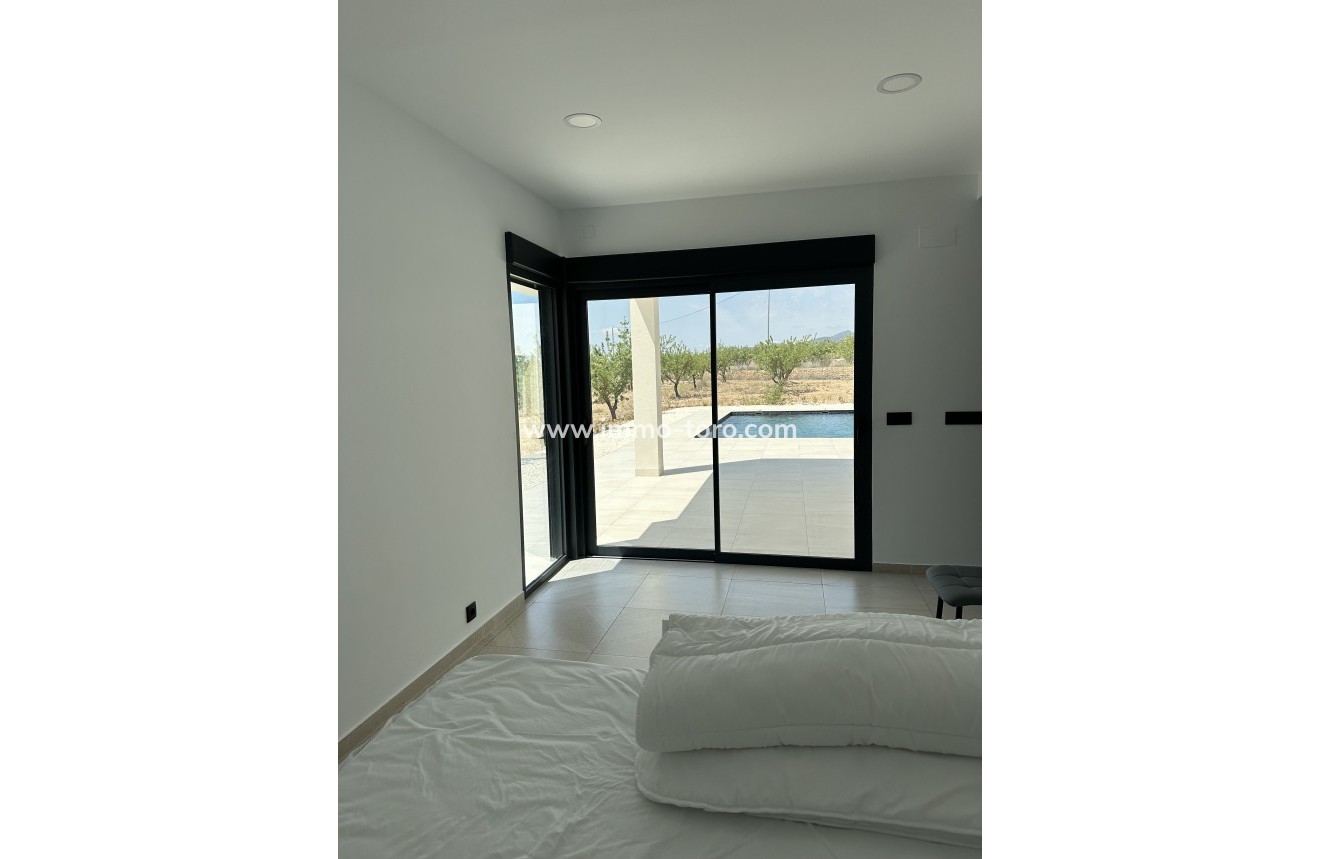 Nueva construcción  - Villa / Chalet - Pinoso