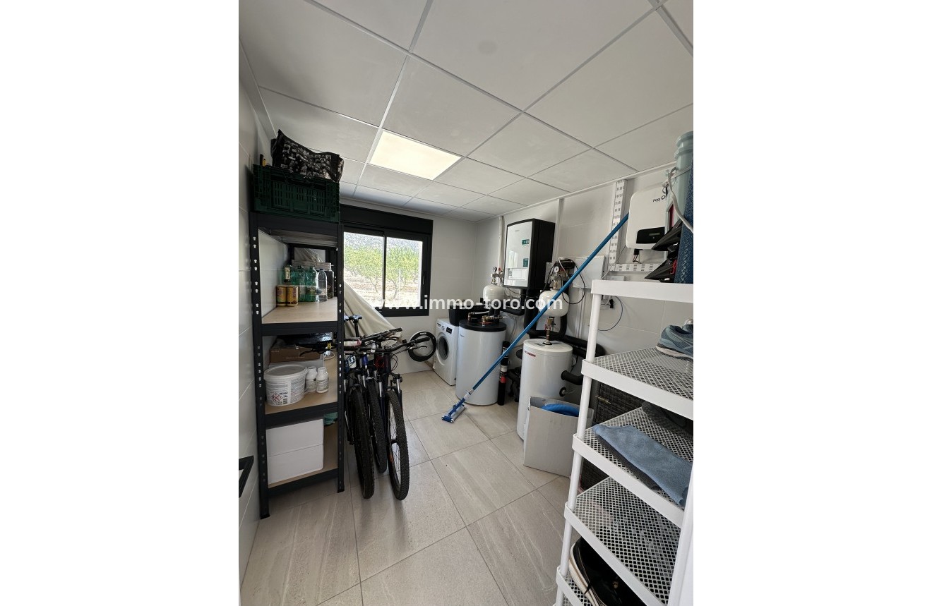 Nueva construcción  - Villa / Chalet - Pinoso