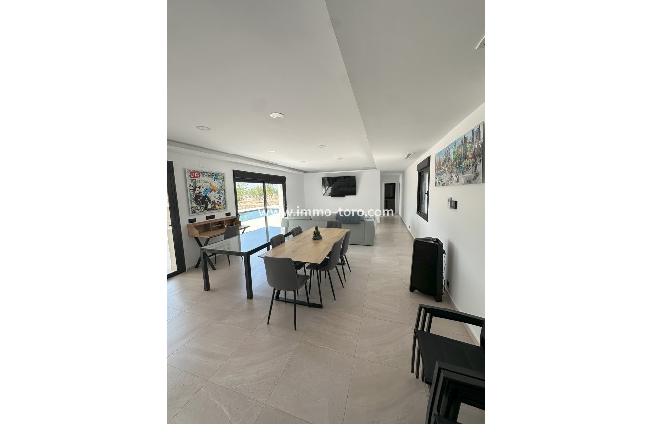 Nueva construcción  - Villa / Chalet - Pinoso