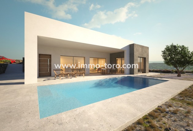 Nueva construcción  - Villa / Chalet - Pinoso