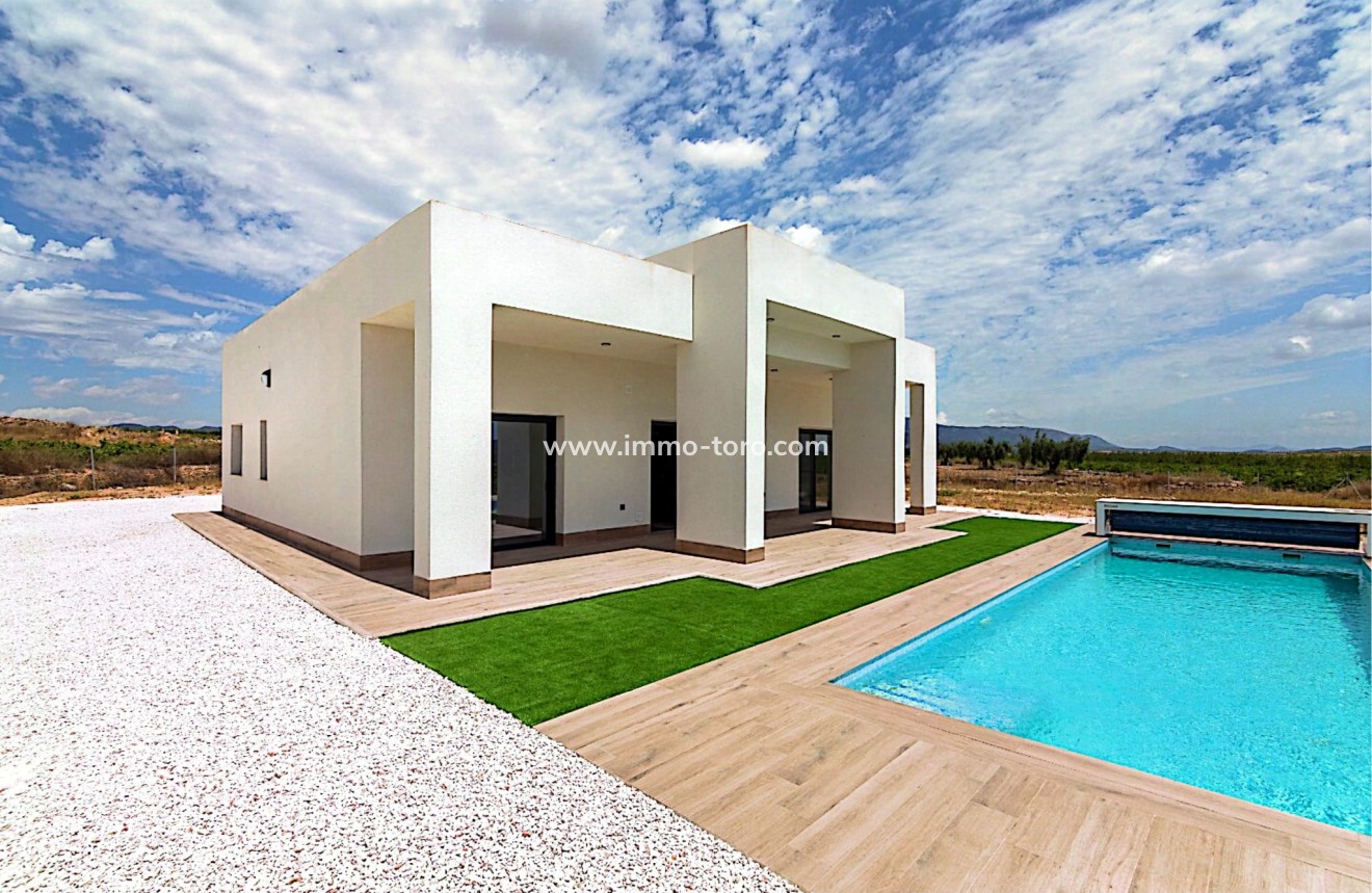 Nueva construcción  - Villa / Chalet - Pinoso