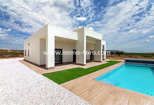 Nueva construcción  - Villa / Chalet - Pinoso
