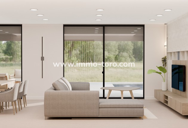 Nueva construcción  - Villa / Chalet - Pinoso