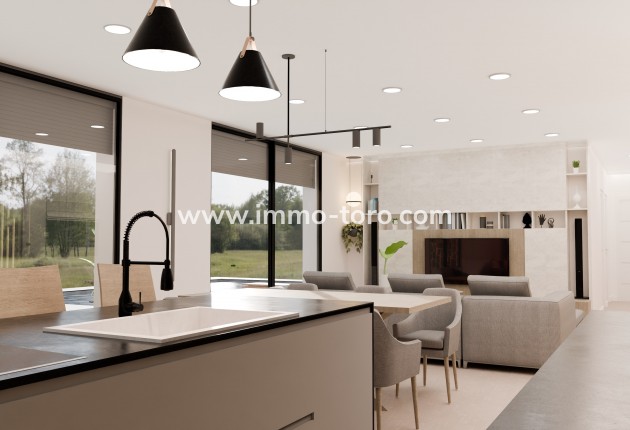 Nueva construcción  - Villa / Chalet - Pinoso