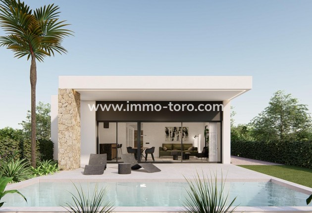 New Build - Villa - Molina De Segura - Urb. La Quinta