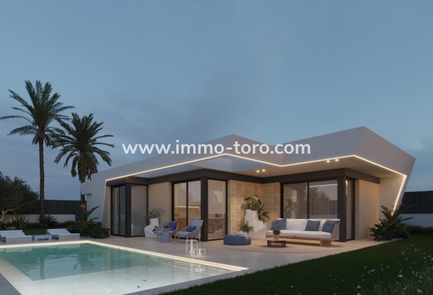 Nueva construcción  - Villa / Chalet - Molina De Segura - Urb. La Quinta