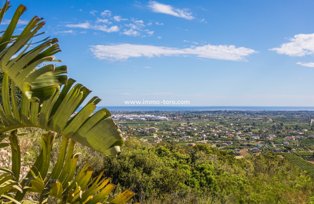 New Build - Villa - Pedreguer