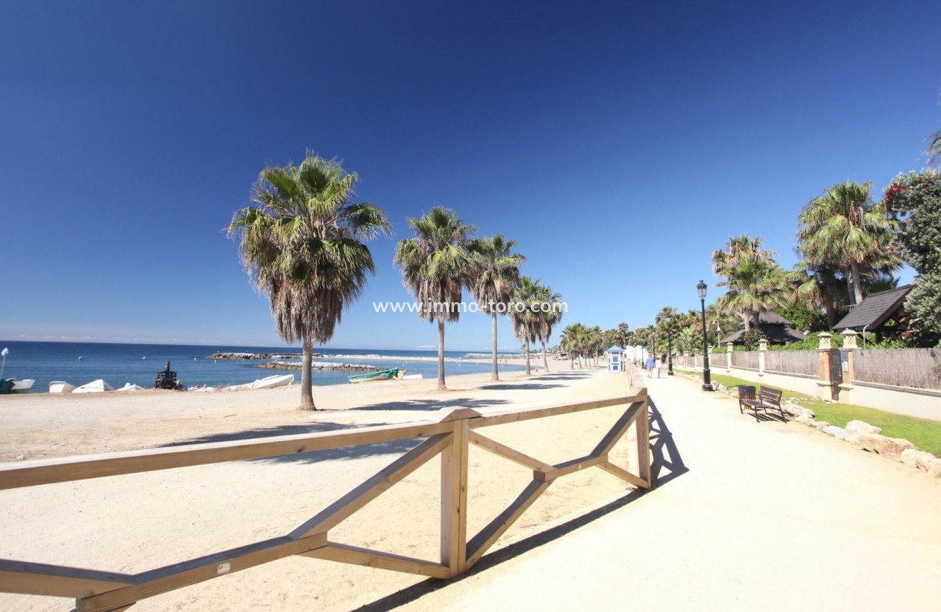 New Build - Apartment - Marbella - Nueva Andalucia