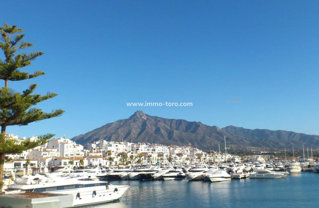 New Build - Apartment - Marbella - Nueva Andalucia