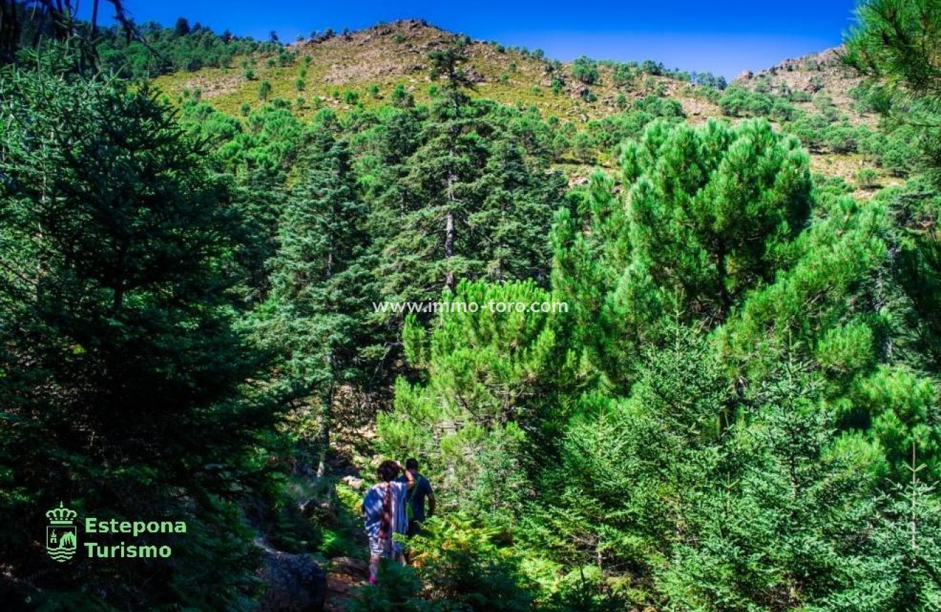 Nueva construcción  - Apartamento - Estepona - Playa de La Rada