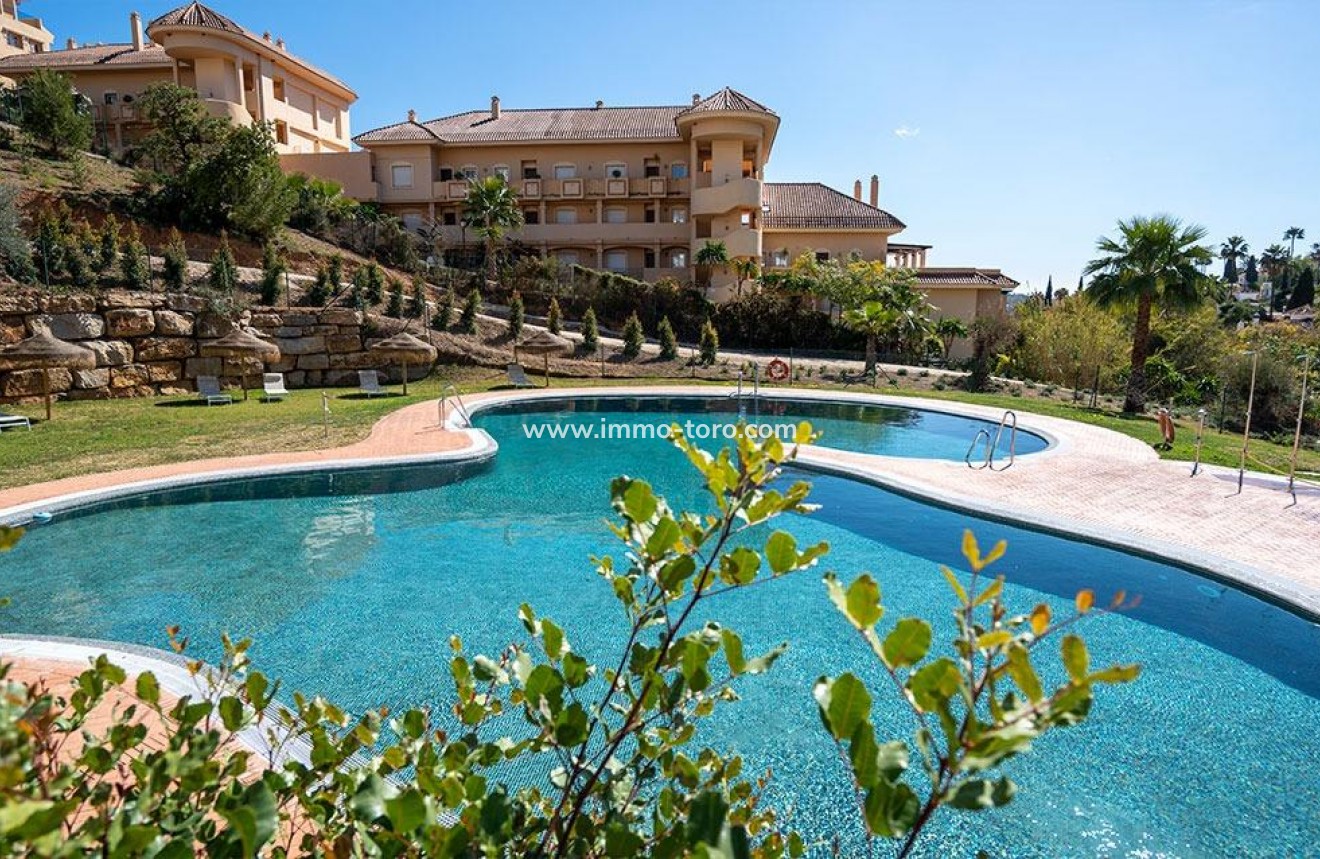 New Build - Penthouse - Marbella - Nueva Andalucia