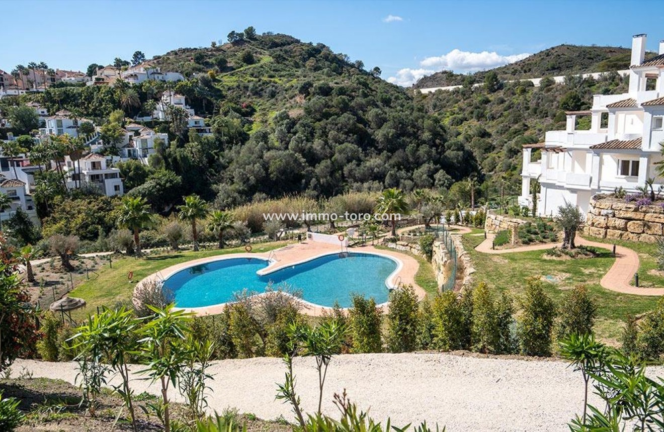 New Build - Penthouse - Marbella - Nueva Andalucia