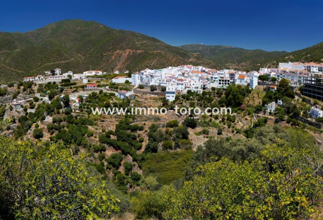 Nueva construcción  - Ático - Istán - Cerros De Los Lagos