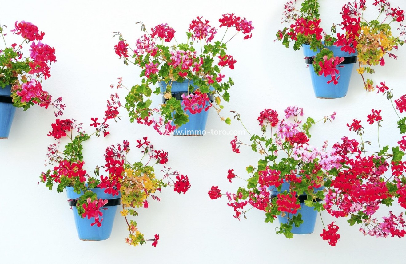 Nueva construcción  - Apartamento - Mijas - La Noria Golf