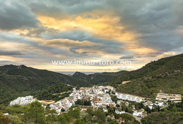 New Build - Penthouse - Benahavis - Urb. Los Jaralillos