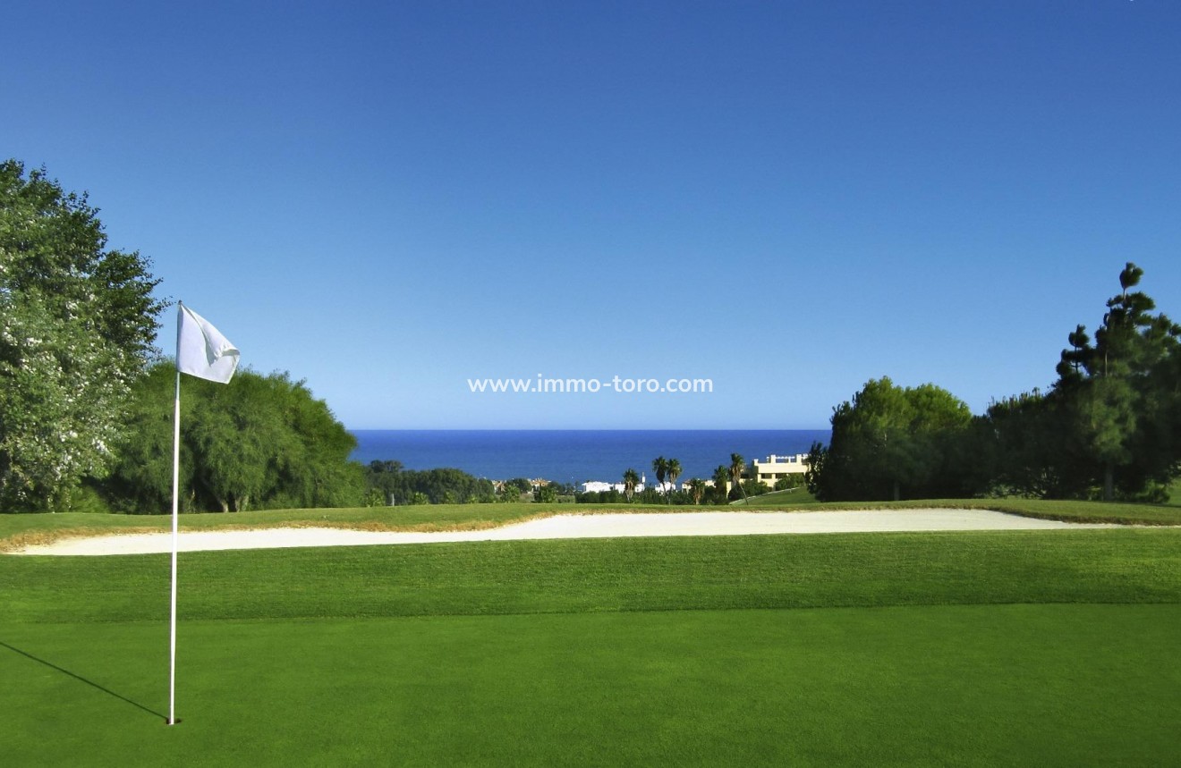 Nueva construcción  - Ático - Casares - Casares Playa