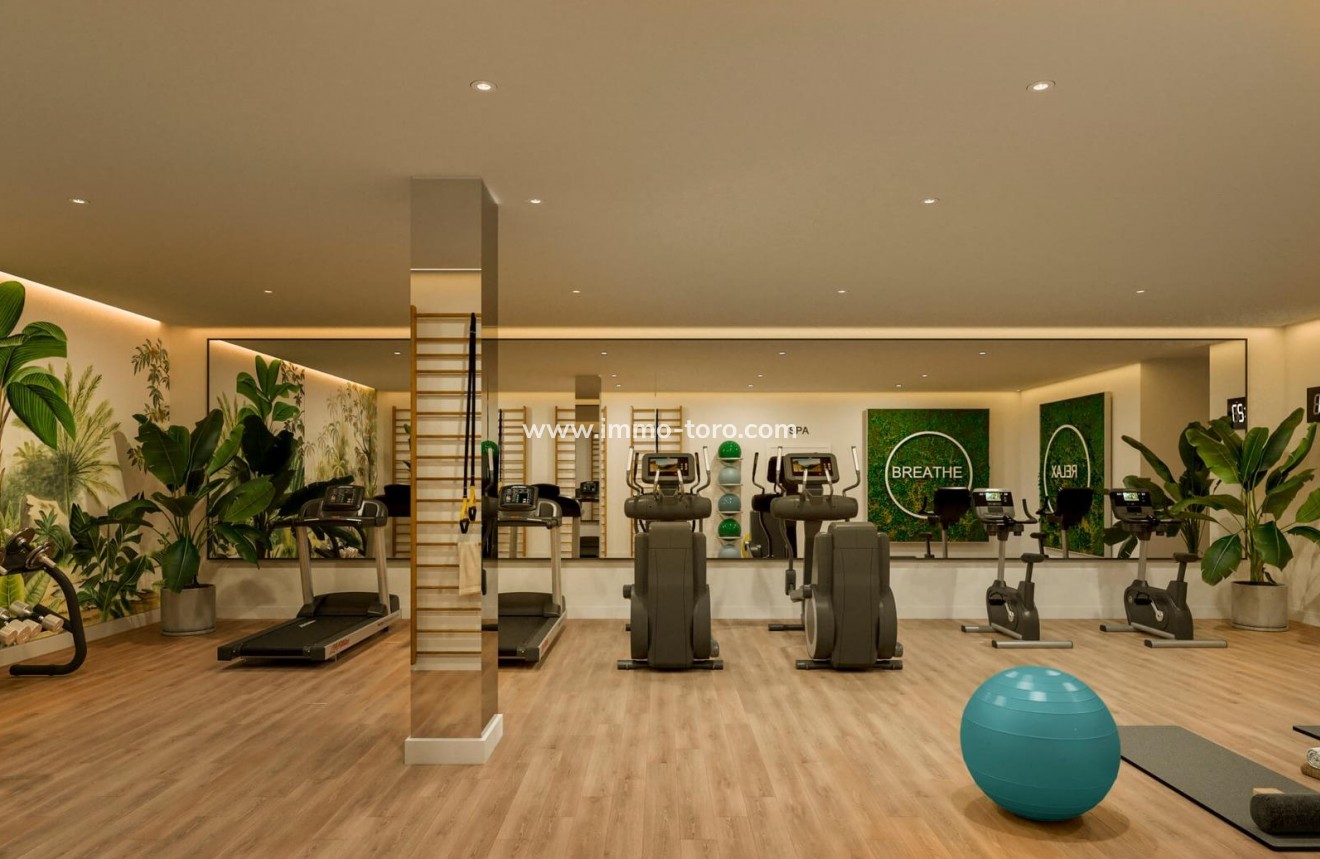 Nouvelle construction - Penthouse - Casares - Finca Cortesín