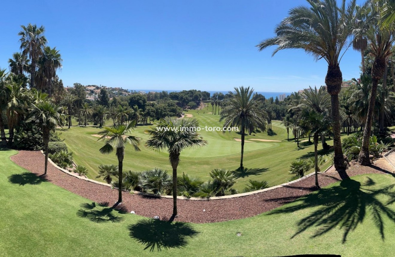 Nueva construcción  - Ático - Benalmádena - Golf Torrequebrada