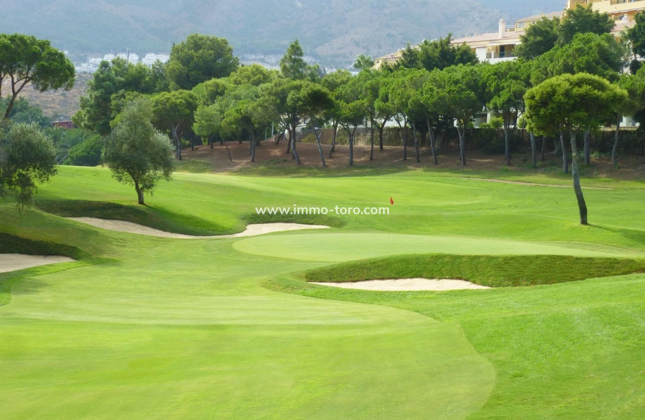 Nueva construcción  - Ático - Benalmádena - Golf Torrequebrada