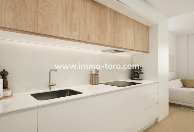 Nouvelle construction - Penthouse - Mijas - pueblo