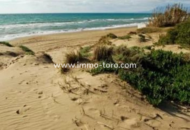 New Build - Apartment - Marbella - Cabopino