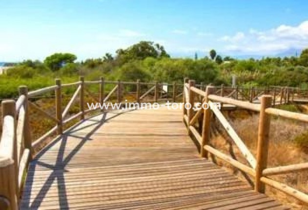 New Build - Apartment - Marbella - Cabopino