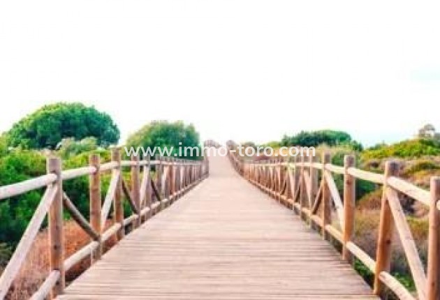 New Build - Apartment - Marbella - Cabopino