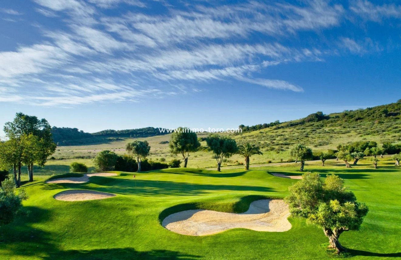 Nueva construcción  - Ático - Estepona - Estepona Golf