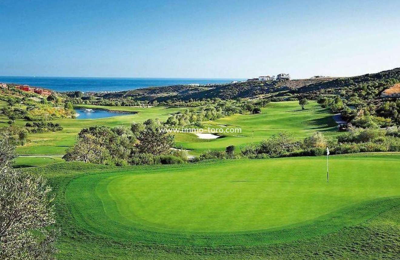 Nueva construcción  - Ático - Estepona - Estepona Golf