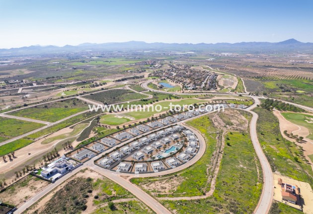 Nouvelle construction - Villa - Fuente Álamo - Fuente Alamo